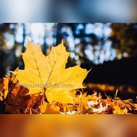 真正厉害的父母，从不用小事内耗孩子：深度解析家庭教育的智慧与策略